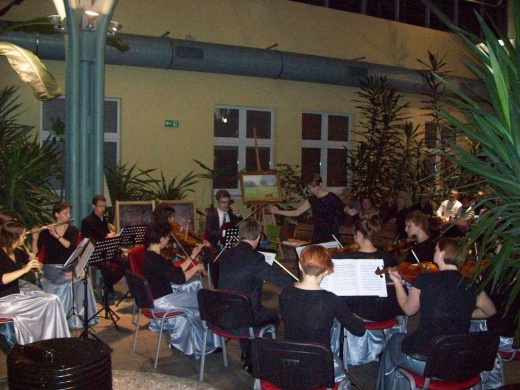 Koncert Zespołu Kameralnego \"Operacja Muzyka\" 6.03.13